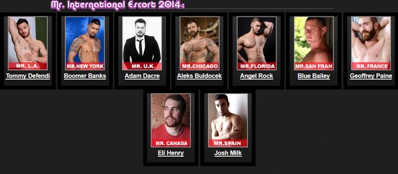 The Hookies 2014 Gay Porn Star Finalist 2