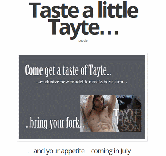 Taste A Little Tayte