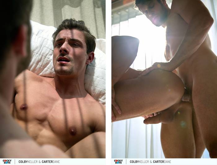 Carter Dane Gay Porn Star Colby Keller CockyBoys Muscle Bottom 113