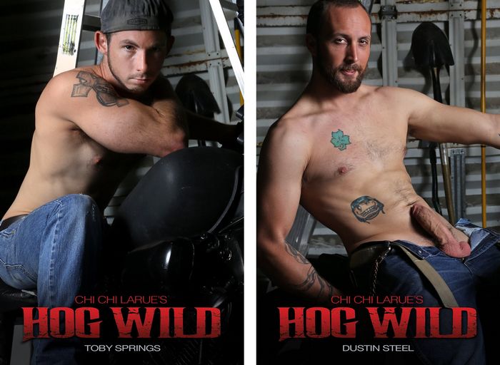 hog-wild-dirty-biker-gang-bang-3