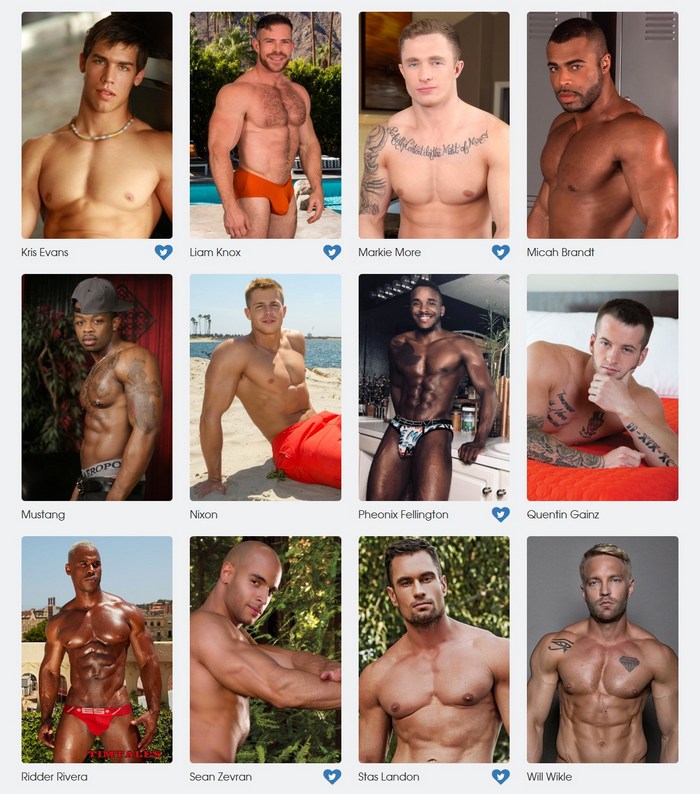Gay Porn Stars GayVN Awards 2018 Favorite Body