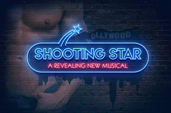 SHOOTING STAR A Revealing New Musical