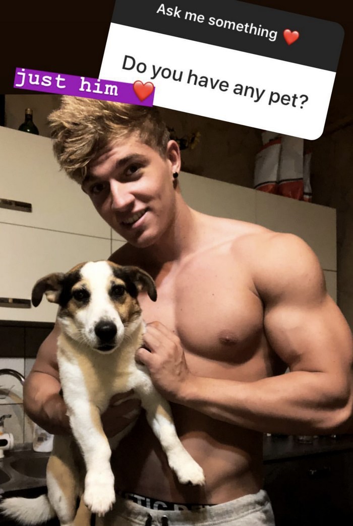 Paul Cassidy BelAmi Gay Porn Star Instagram Story Dog