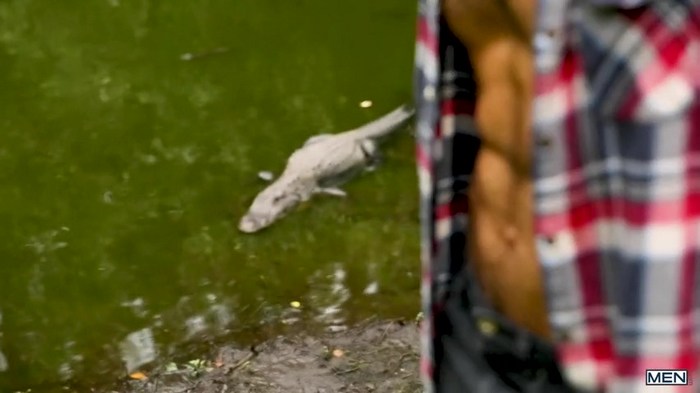 Gay Porn Diego Sans Kaleb Stryker Alligator PETA Everglades 1