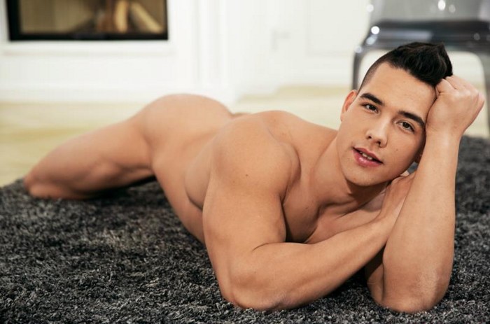 Gabriel Nash BelAmi Gay Porn Star Naked Muscle Stud