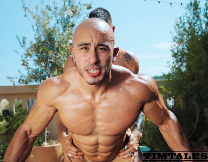 Vicenzo Gay Porn Star Bodybuilder Bottom Muscle Hunk Niko Demon TimTales