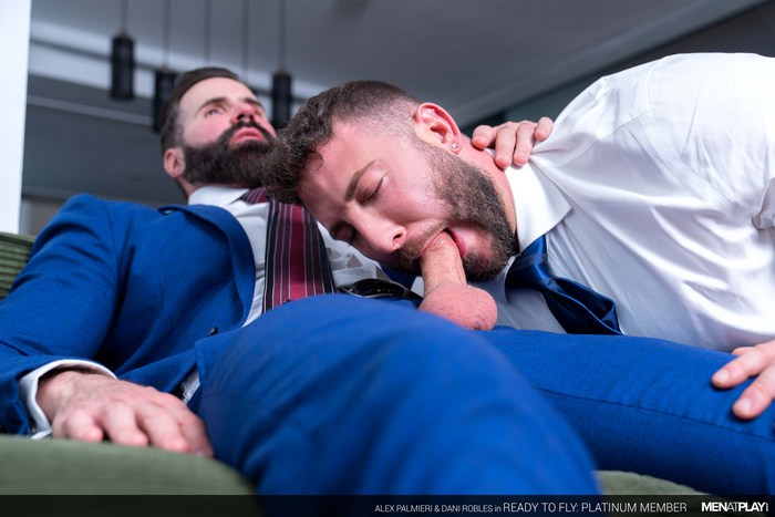 Alex Palmieri Gay Porn Dani Robles MenAtPlay 