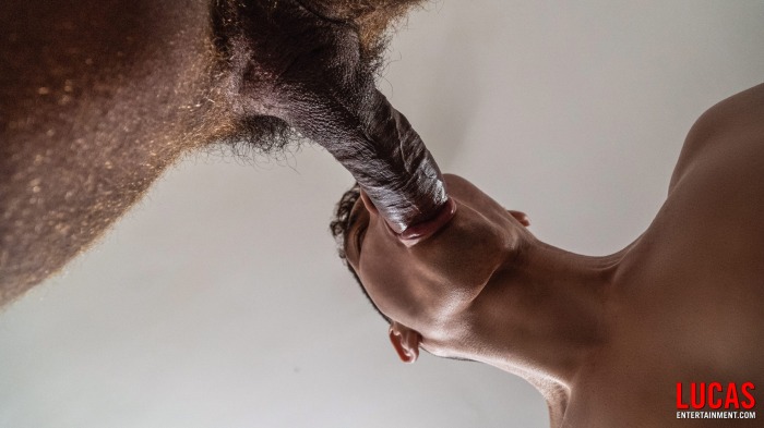 Bastian Karim Louis Ricaute Gay Porn 