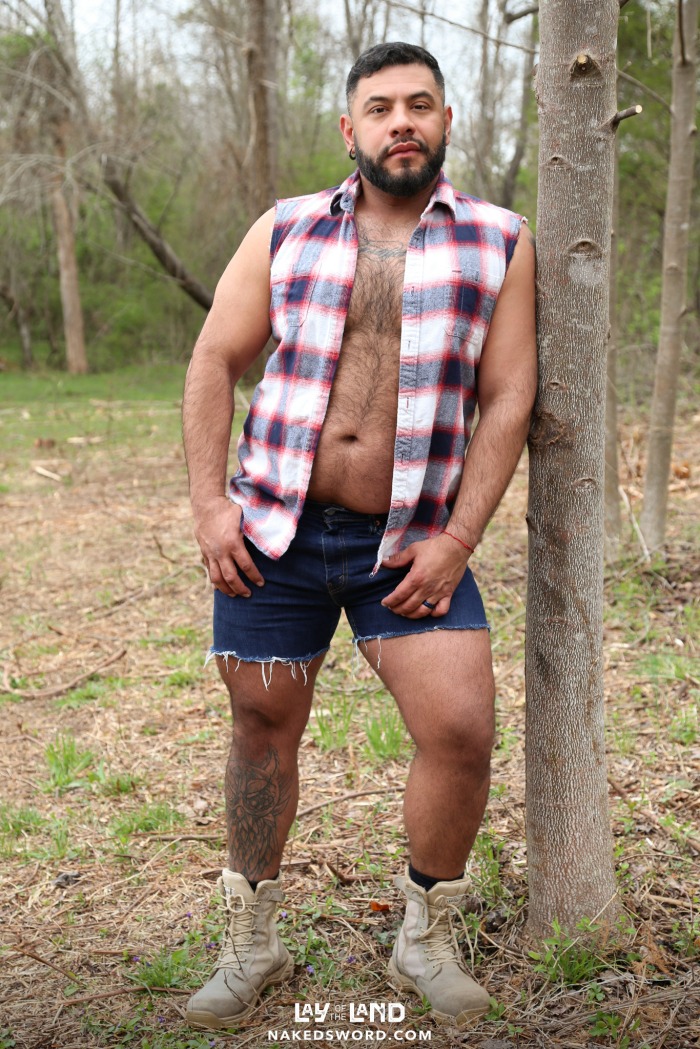 Nico Bear Gay Porn Star