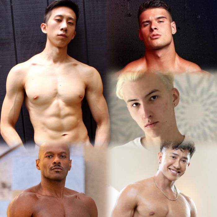 Tyler Wu Malik Delgaty Sandro Jenner Rhyheim Shabazz Jkab Ethan Dale Gay Porn Stars XXX