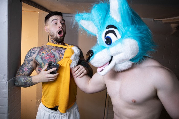 Gay Porn Furry Chad Dorado Marcus McNeil