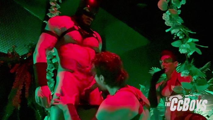 Batman Robin Gay Porn Poison Ivy