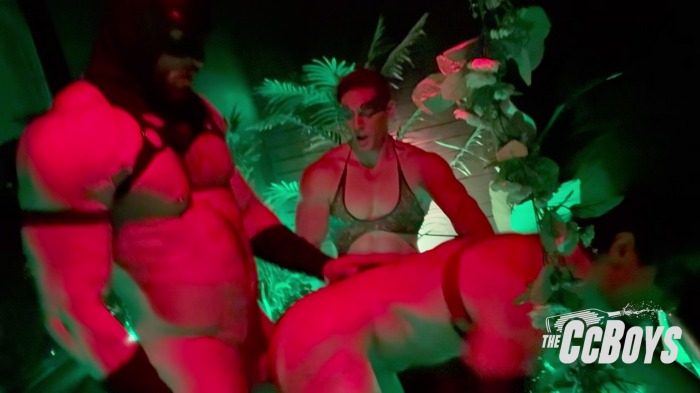 Batman Robin Gay Porn Poison Ivy