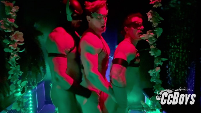 Batman Robin Gay Porn Poison Ivy