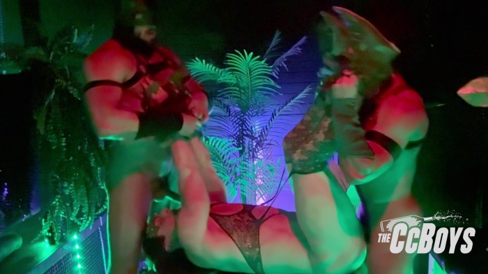 Batman Robin Gay Porn Poison Ivy